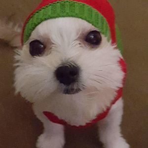 Meet your Posher, Jose